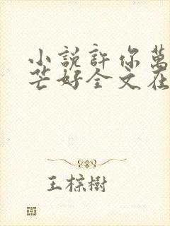 小说许你万丈光芒好全文在线阅读