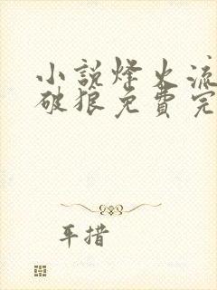 小说烽火流金杀破狼免费完本