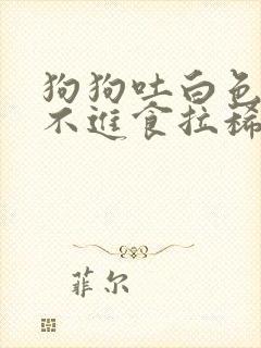 狗狗吐白色粘液不进食拉稀