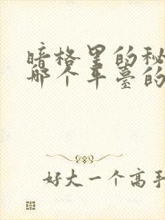 暗格里的秘密是哪个平台的