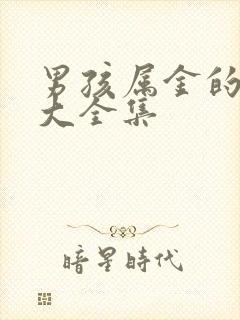 男孩属金的名字大全集