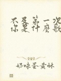 不及第一次遇见你是什么歌