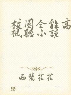 校园全能高手季枫听小说