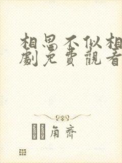 相思不似相逢短剧免费观看