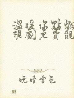 温暖你点燃我电视剧免费观看全集