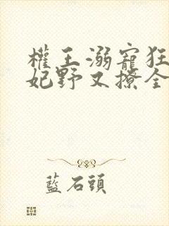 权王溺宠狂傲王妃野又撩全文免费阅读