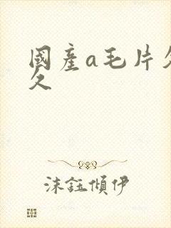 国产a毛片久久久