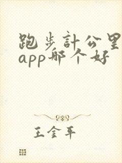 跑步计公里数的app哪个好