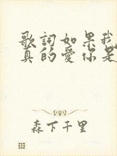 歌词如果我说我真的爱你是什么歌名