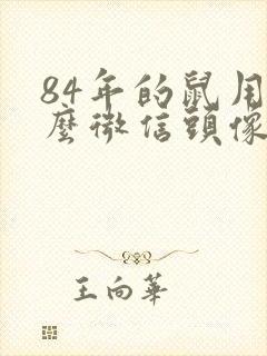 84年的鼠用什么微信头像招财