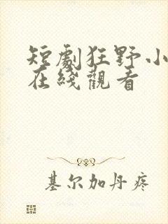 短剧狂野小神医在线观看