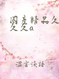 国产精品久久久久久a