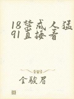 18禁成人猛撞91直接看