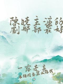 陈晓主演的电视剧哪部最好看