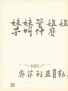 妹妹管姐姐的孩子叫什么