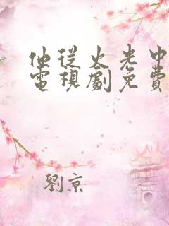 他从火光中走来电视剧免费观看