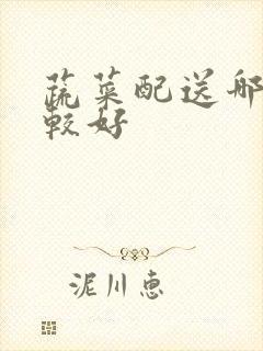 蔬菜配送哪家比较好