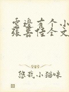 云边有个小卖部张嘉佳全文免费阅读