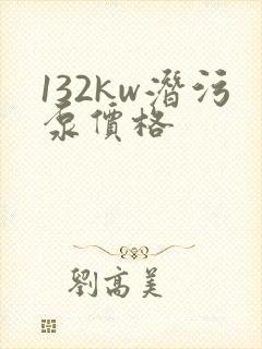 132kw潜污泵价格