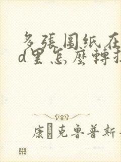 多张图纸在cad里怎么转换成pdf