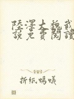陆泽大魏武霸小说免费阅读无弹窗