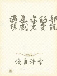 遇见你的那天电视剧免费观看完整版