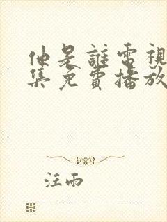 他是谁电视剧全集免费播放完整版