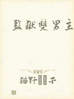 监狱双男主小说