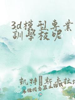 3d模型专业培训学校呢