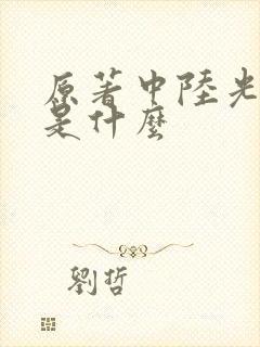 原著中陆光结局是什么