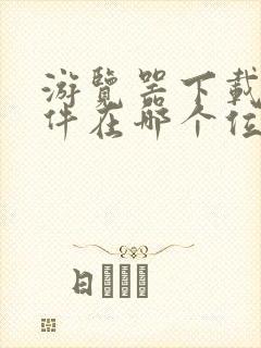 游览器下载的文件在哪个位置