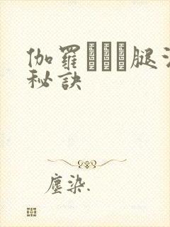 伽罗ちゃん腿法秘诀