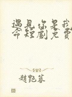 遇见你是我的宿命短剧免费完整版