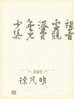 少年派电视剧全集免费观看不卡