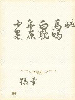 少年白马醉春风是原耽吗