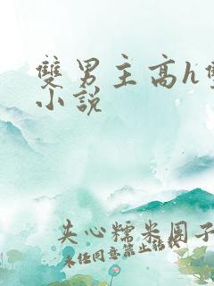 双男主高h双性小说