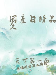 国产日精品久久久