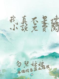 我真不是坏男人小说免费阅读