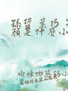 孙哲 叶巧 朱颜是什么小说