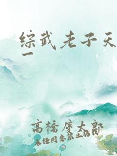 综武老子天下第一