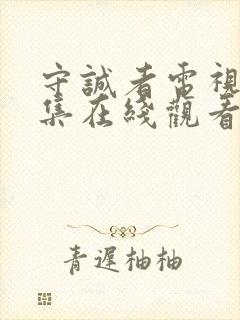 守诚者电视剧全集在线观看免费播放