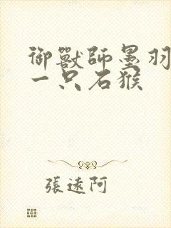 御兽师墨羽开局一只石猴