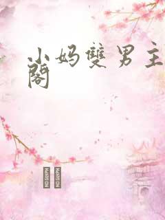 小妈双男主笔趣阁