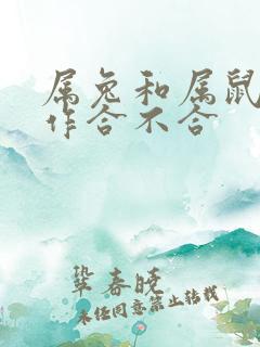 属兔和属鼠的工作合不合