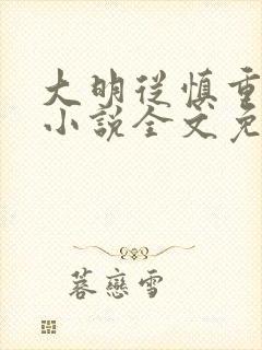 大明从慎重开始小说全文免费阅读