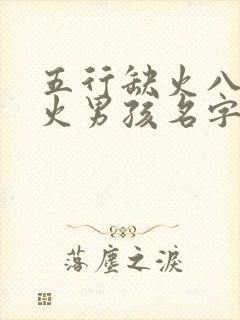 五行缺火八字喜火男孩名字