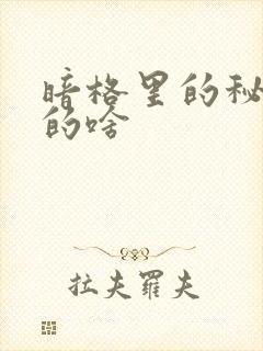 暗格里的秘密讲的啥