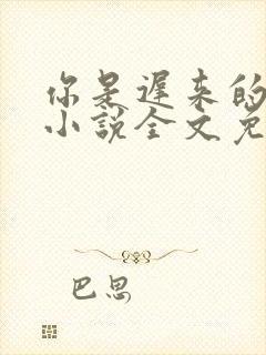 你是迟来的欢喜小说全文免费阅读