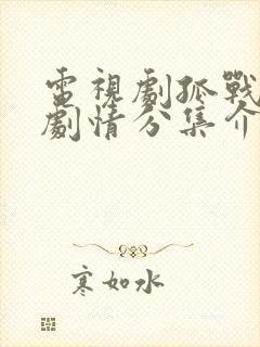 电视剧孤战迷城剧情分集介绍