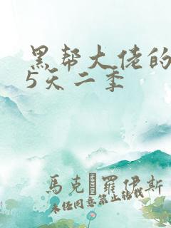 黑帮大佬的365天二季